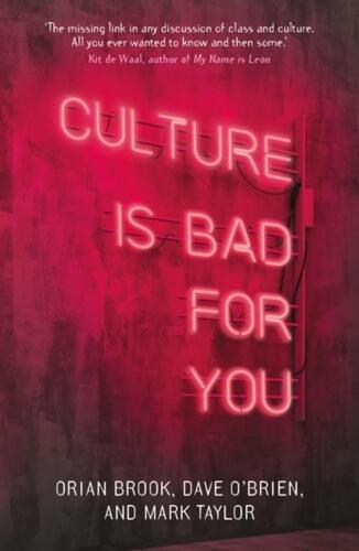 Culture is Bad for You: Inequality in the Cultural and Creative Industries by Or - Imagen 1 de 1