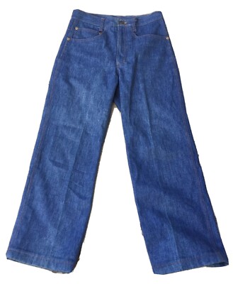 Vintage Levis Jeans USA STYLE High Waisted 28 In Waist Hippie 