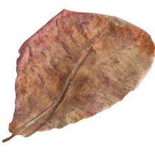 Thank You Wild Crafted Bay Leaf Dried cut Leaves Verduras