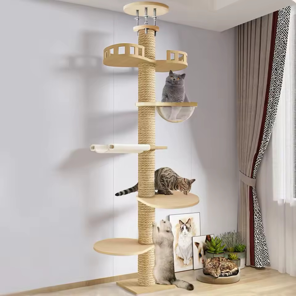 Arbre à chat beige sol-plafond pour salon moderne et chat d'appartement
