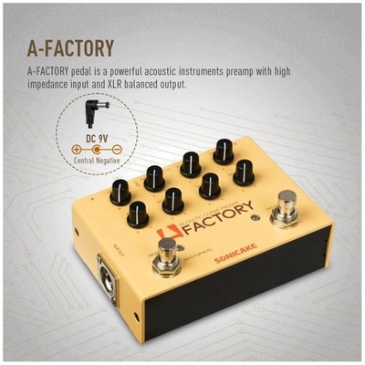 Acoustic Guitar Effects Pedal with Analog Preamp^