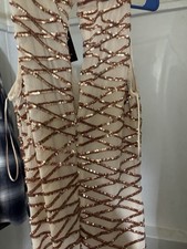 Fashion Nova L Champagne Sequin Mesh V-Neck Sleeveless Maxi Dress Long
