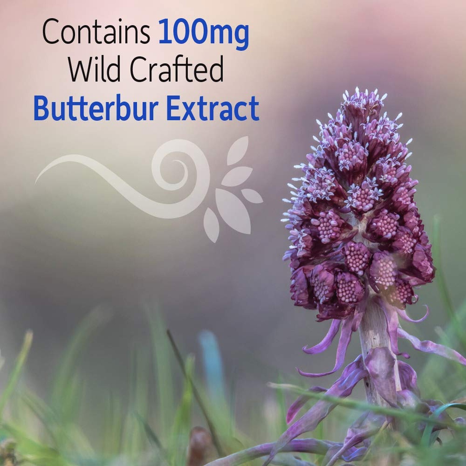 Garden of Life Sinus Care for Adults, Herbal Immune Balance Sinus