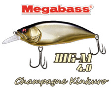 Megabass Big-M 4.0 Giant Killer Crankbait - CHAMPAGNE KINKURO -