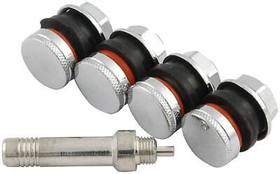 ALLSTAR PERFORMANCE Valve Stem Flush Mount 4pk