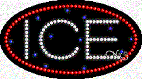BRAND NEW "ICE" 27x15 OVAL SOLID/ANIMATED LED SIGN w/CUSTOM OPTIONS 24225 - Bild 1 von 3