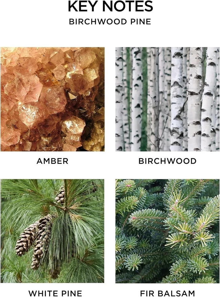 Trío de velas votivas perfumadas festivas NEST New York - 2 oz cada una Foto 4 de 4