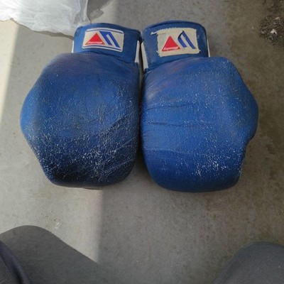 Winning MGS-200 Professional Boxing Gloves Blue Leather Sports