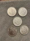 Morgan Silver Dollars- lot of 5 coins