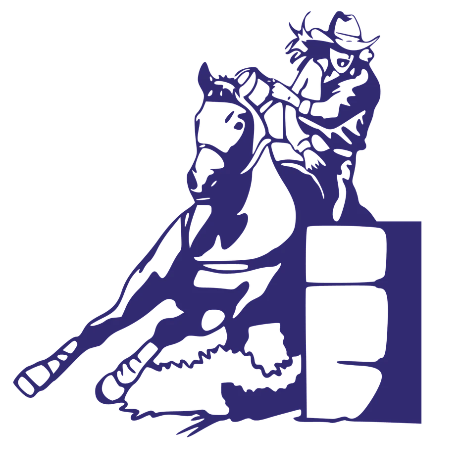 Calcomanía de vinilo Rodeo Girl Barrel Racing pegatina a tu elección de color Foto 3 de 3