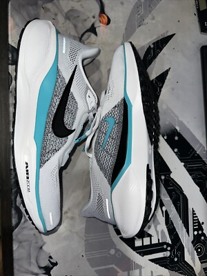  NEW  Nike Pegasus 41 Dusty Cactus Men Road Running Shoes FD2722-103 Size 8