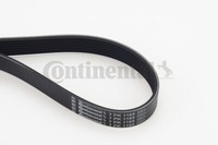 Continental Ctam 7PK1165 V-Rippenriemen FüR Datsun, Nissan