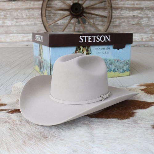 Stetson Skyline 6X Silverbelly Fur Felt Cowboy Hat - Picture 2 of 8