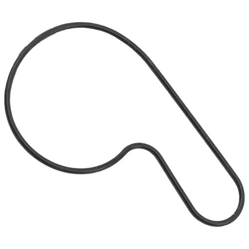 O RING, WATER PUMP CASE