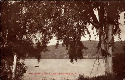 Delaware River Delaware Water Gap Nature Scene Trees PA Penna VTG Postcard 