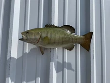 20" Smallmouth Bass (Green) Half Mount Fish Replica - Quick Production