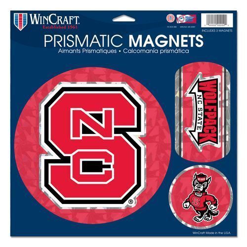WinCraft NCAA Michigan State University Magnets 2 Pack - 5 X 9 Inch Officially Licensed Team Pride