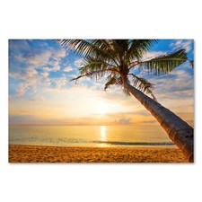 Postereck 3391 Poster Leinwand Palme, Strand Sand Meer Urlaub Natur Sonne