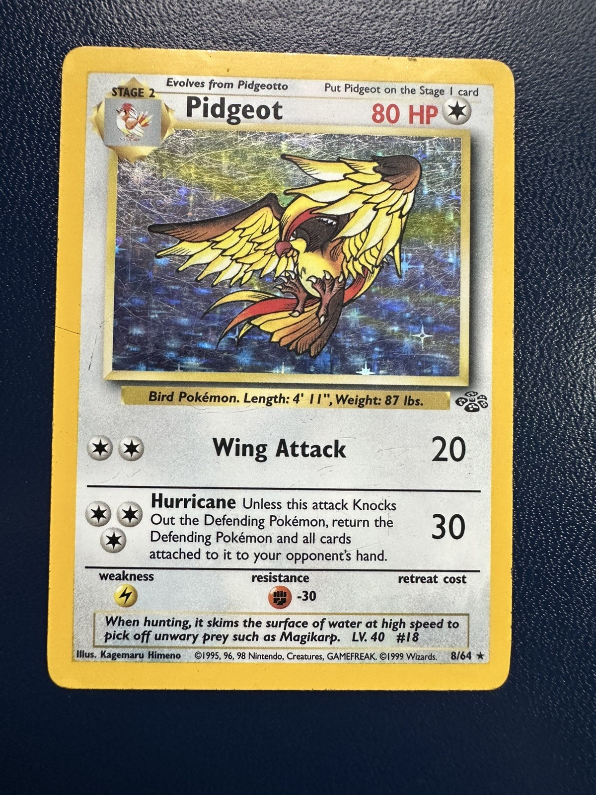 Pidgeot 8/64 Holo - Pokemon Jungle MP