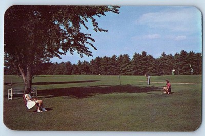1960 Lake Delton Wisconsin WI Postcard Dell View Hotel Pine Birch Clad Unposted