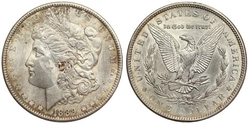 United States - One Dollar 1889 - Silver Morgan Dollar
