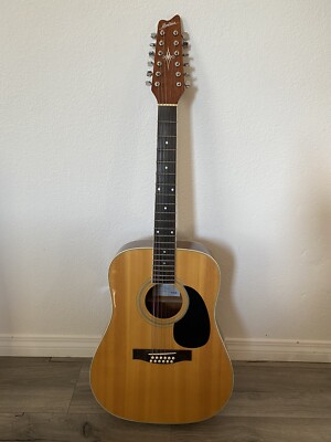 Montana Acoustic 12 String guitar Model No. M22-4 | eBay
