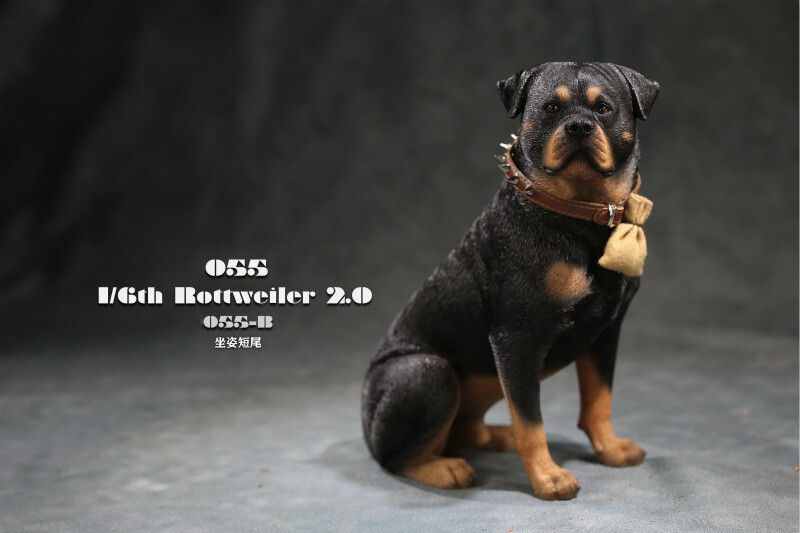 Rottweiler Sitting Dog With Collar Version JXK 1/6th Animal
