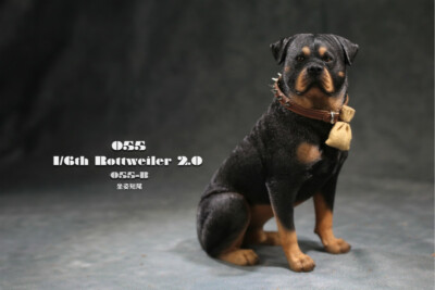 犬のベット　Made in Denmark B Type Feed Dog Three Row 12481 Tooth B9 B11 B13 B15 B17 B19