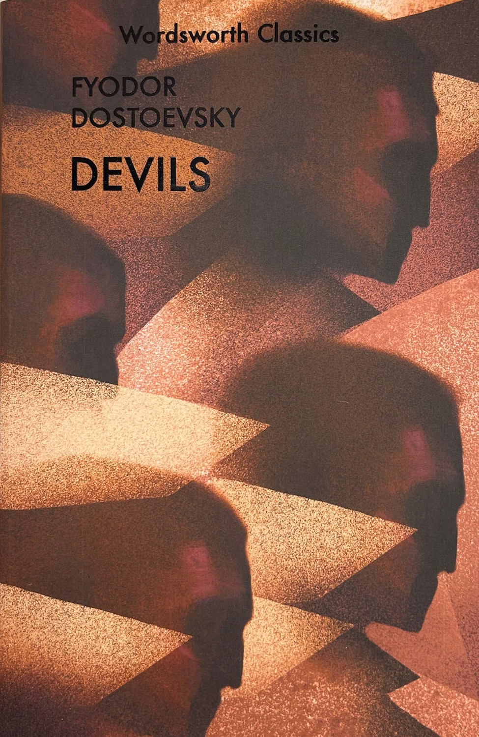 Devils by Fyodor Dostoevsky (Paperback Book) - Image 2