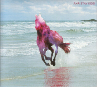 CD Awesome New Republic Stay Kids DIGIPAK something in construction