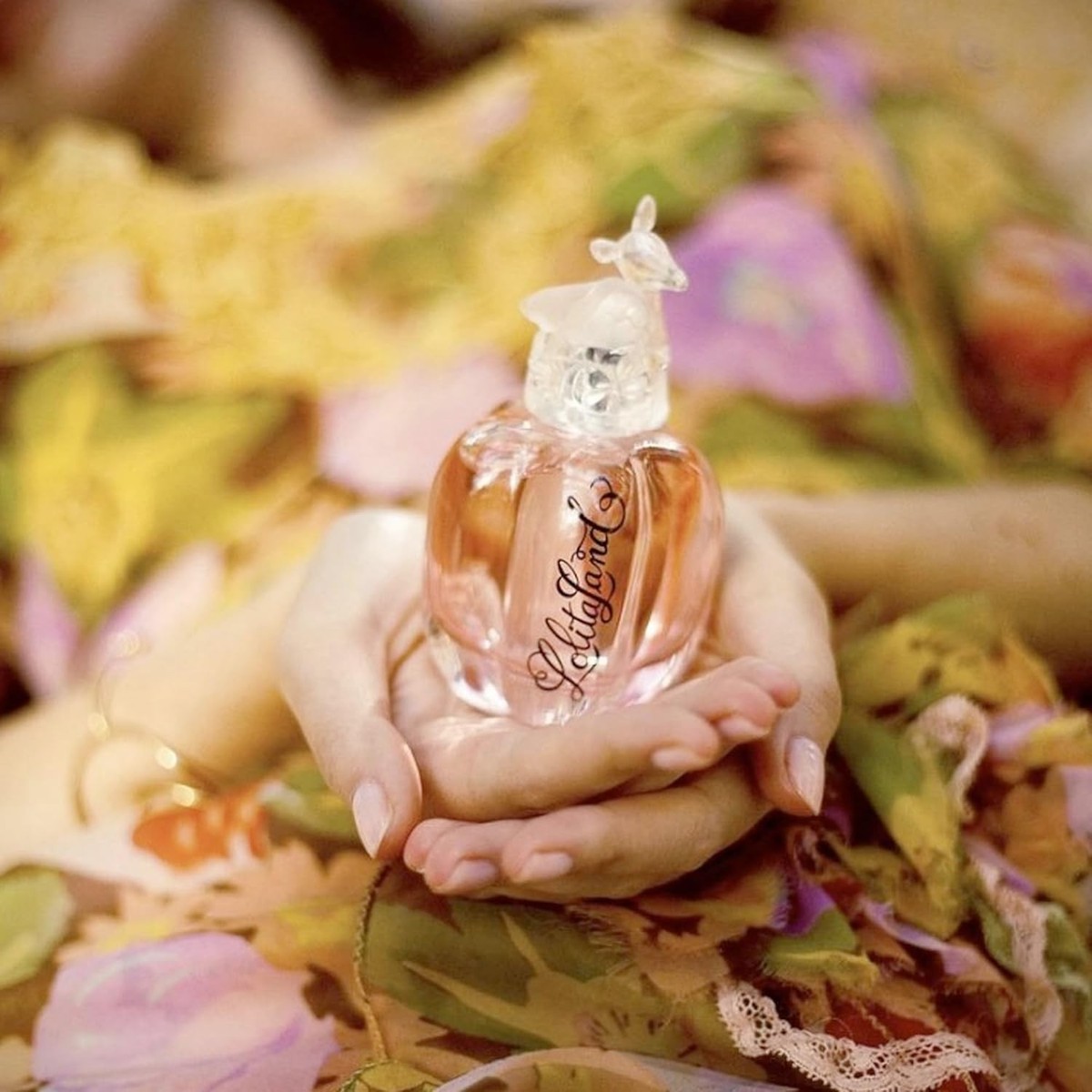 タムタムミシェル・デュポン・ファン&ラランド2015 Amazon.com: Lolita Lempicka Lolitaland Eau De Parfum Spray - Notes