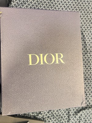 Dior B30 Reflective CD30 cream green