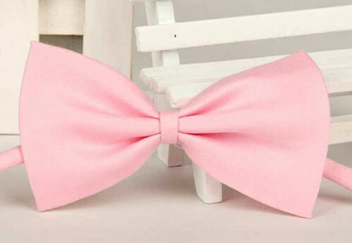 Acrílico Dog pajaritas