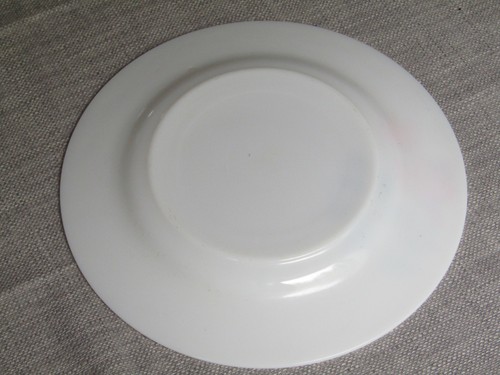 60's Vintage JAJ Pyrex June Rose 21.5cm Side Dessert Tea Plate Retro Milk Glass - Picture 4 of 7