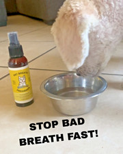 Dog Breath Freshener Spray Stops Bad Breath Fast Puppy Safe Oral Care for Dogs