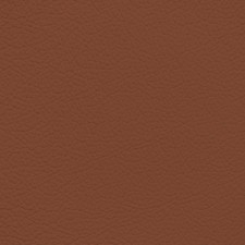 BMW Chestnut Brown Leather Dye