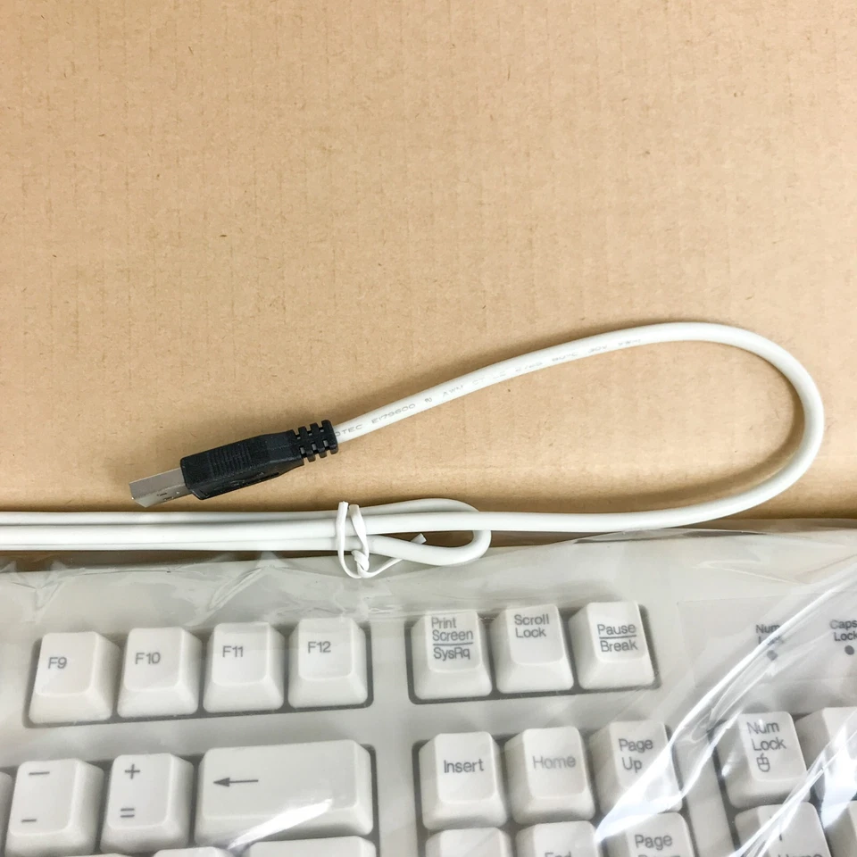 Vintage Chicony KU-2971 USB Keyboard Microsoft Windows XP Brand New In Box Retro - Image 3 of 4