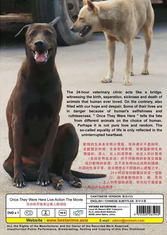 DVD Once They Were Here 告訴世界我來過 English Subtitle All Region FREESHIP - Image 2 of 4