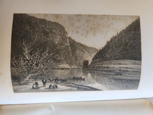 1874 PICTURESQUE AMERICA by WILLIAM BRYANT 2 FOLIO VOLUMES ILLUSTRATED antique - Picture 13 of 24
