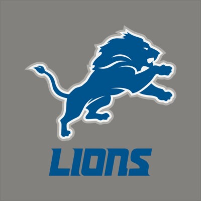 Detroit Lions #8 NFL Team Pro Sports Vinyl Sticker Decal Car Window Wall