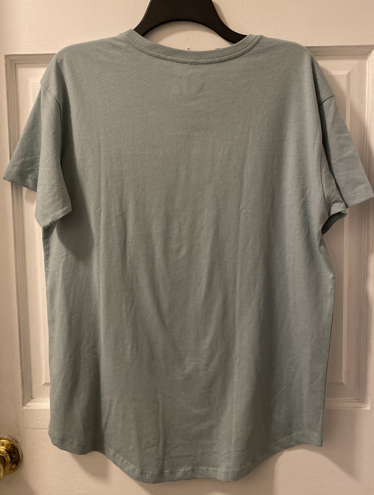 Ladies Dog is my Co Pilot Sea Foam green Shirt Size XL New