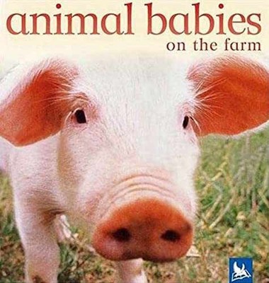 Animal Babies On the Farm - Board book, by Editors of Kingfisher - Very Good x