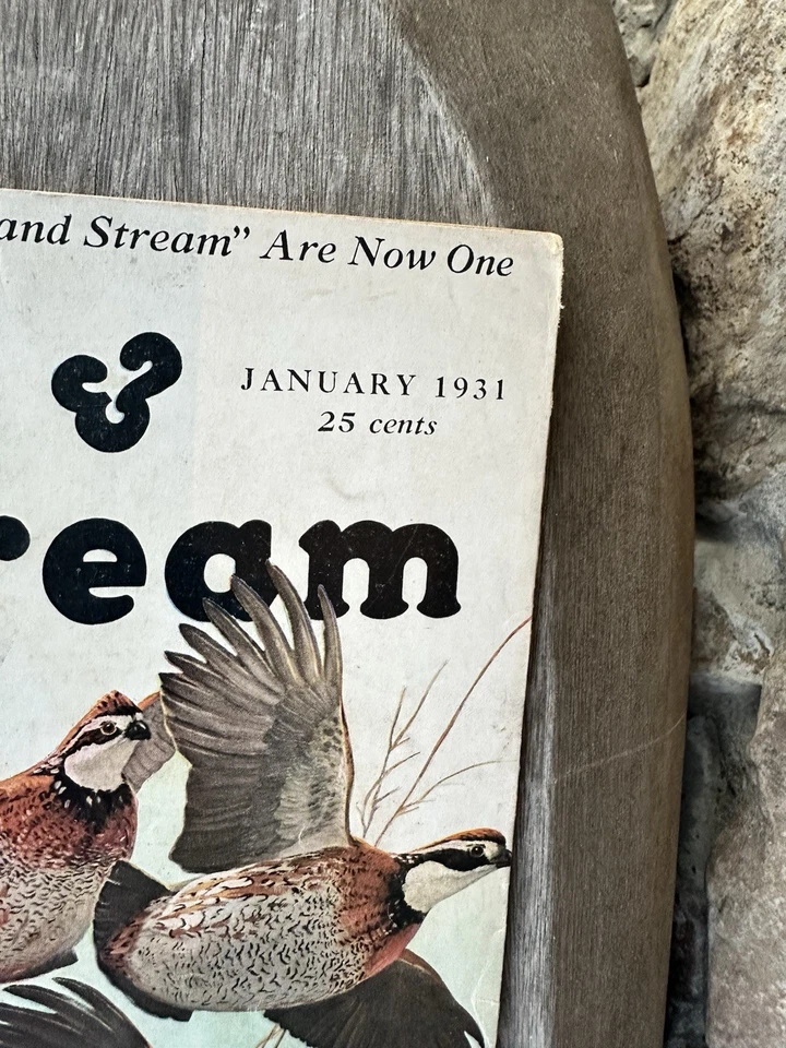 JANUARY 1931 FIELD & STREAM MAGAZINE QUAIL LYNN BOGUE HUNT - Image 4 of 4