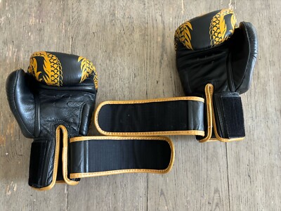 Twins Special Muay Thai Gloves | 8 oz | Sparring Gold Dragon From