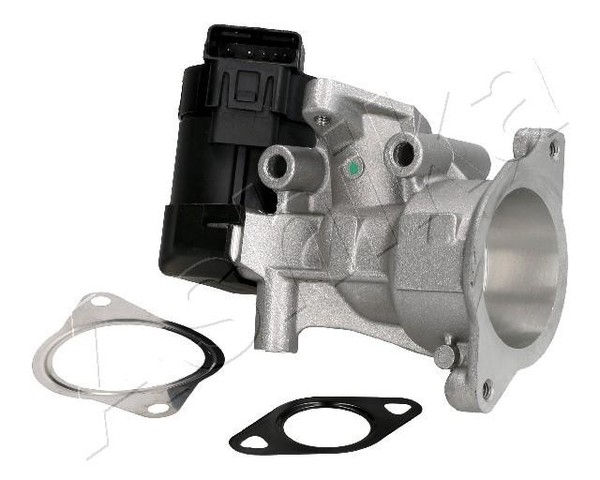 1X Ashika 150-00-0302 Agr-Ventil FüR Renault CitroëN Ford Fiat Volvo-image