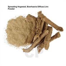 Spreading Hogweed Boerhaavia Diffusa Linn Powder 100gm 3.5 OZ 