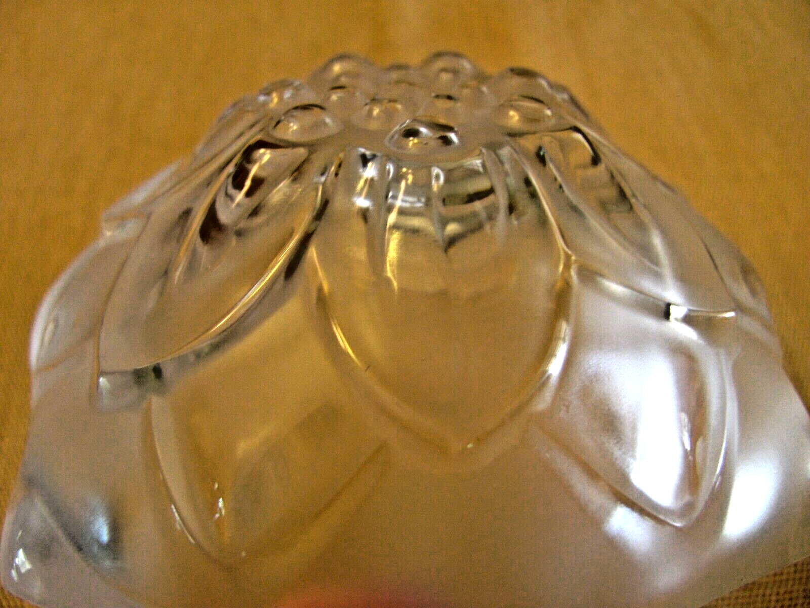 Picture 8 of 10