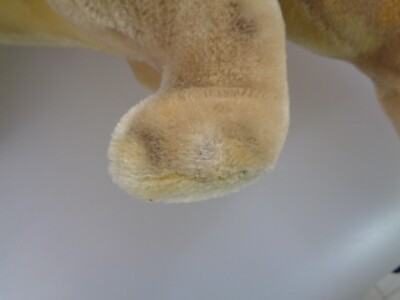 STEIFF ANIMAL AVEC Bouton, Sans Fahne. 10 x 12 Cm. État Parfait EUR 29