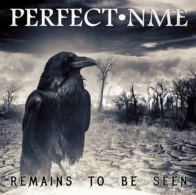 Perfect Nme Remains To Be Seen CD WHD211 NEW - Image 3