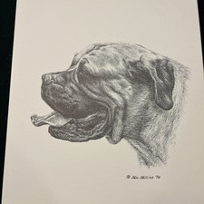 Bullmastiff Vintage Print By Jan Jellins 8 X10